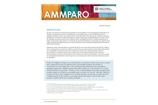 Resumen Ejecutivo AMMPARO